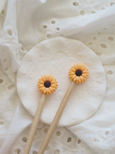Last inn bildet i Galleri-visningsprogrammet, Daisy- mange farger!
