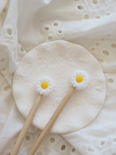 Last inn bildet i Galleri-visningsprogrammet, Daisy- mange farger!
