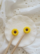 Last inn bildet i Galleri-visningsprogrammet, Daisy- mange farger!
