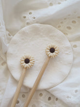 Last inn bildet i Galleri-visningsprogrammet, Daisy- mange farger!
