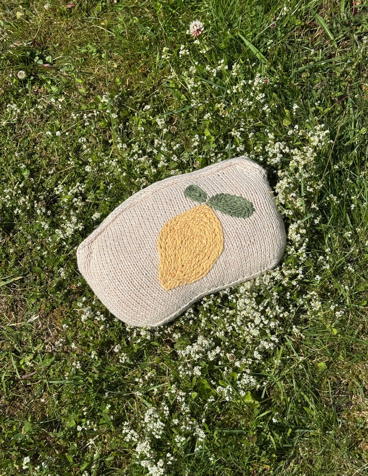 Juicy bag