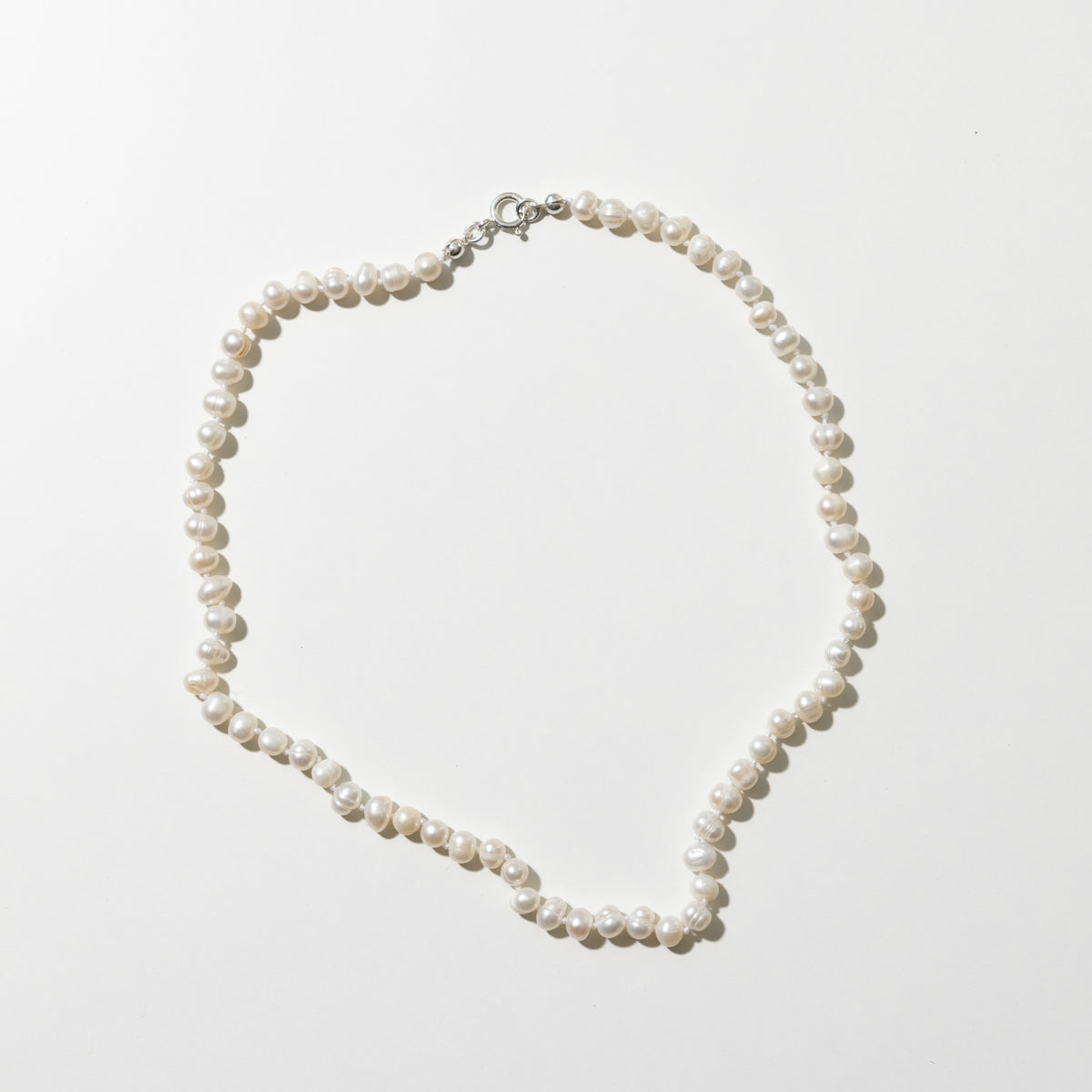 Pearly White- voksen