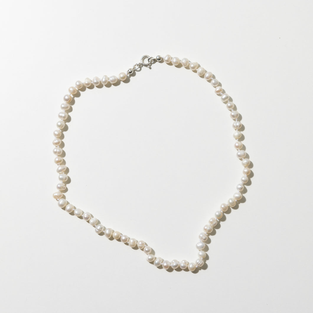 Pearly White- voksen